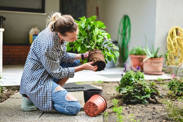 Woman decorating outdoor space with plants